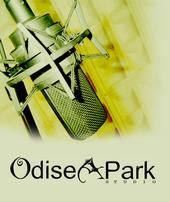 Odisea Park Studio profile picture