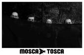 Mosca Tosca profile picture