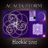 ACACIA STORM profile picture