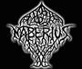 NABERIUS (RECORDING A DEBUT ALBUM) profile picture