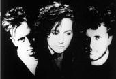 Cocteau Twins profile picture