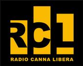 Radio canna Libera profile picture