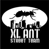 The XLANT Street Team profile picture