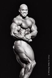 Flex Wheeler profile picture