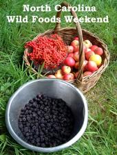 North Carolina Wild Foods Weekend profile picture