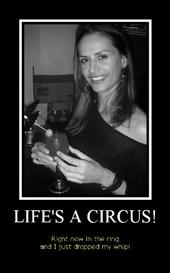 My life is a circus right now but it pays well! profile picture