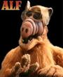 ALF profile picture