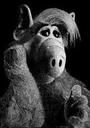 ALF profile picture