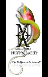 MSMDesigns - Photography - Bucyrus, Ohio profile picture