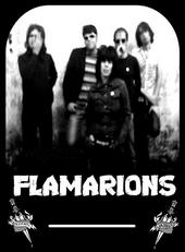 FLAMARIONS profile picture