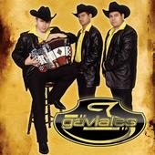 Los Gaviales (siempre al 100!) profile picture