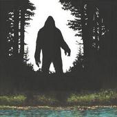 Cysquatch (Bassist needed!) profile picture