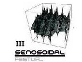 III Senosoidal Festival profile picture