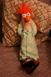 Beaker profile picture