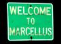 MARCELLUS profile picture