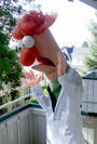 Beaker profile picture