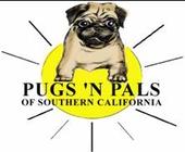 PugsNPals profile picture