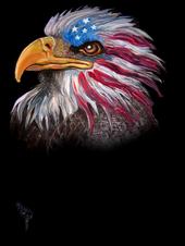 Illegal Eagles profile picture