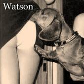 Watson profile picture