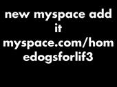 add new myspace myspace.com/homedogsforlif3 profile picture