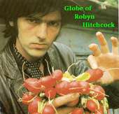 Robyn Hitchcock : Globe of Robyn Hitchcock profile picture