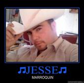 Chicago's Music&Fan Site Of Jesse Marroqui profile picture