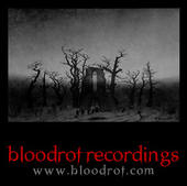 bloodrot recordings profile picture