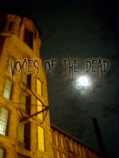 Voices of the Dead profile picture