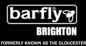 The Brighton Barfly profile picture