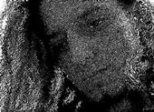 Starving Artist profile picture