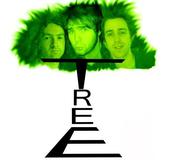 TREE profile picture