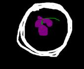 Abrasive Grape profile picture