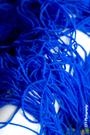 THE BLUE THREADS profile picture