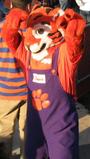 Clemson University profile picture