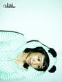 Sincerely PandaBear [P&Love] profile picture