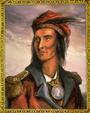 Tecumseh profile picture