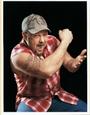 Larry The Cable Guy profile picture