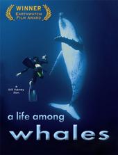 A Life among Whales profile picture