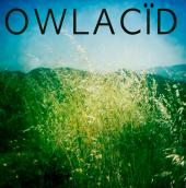 OWLACÃD profile picture