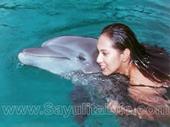 Dolphin Trainer profile picture