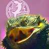 PlanetLizard profile picture