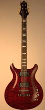 Gadow guitars profile picture