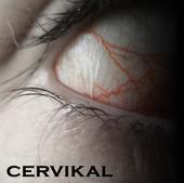 CERVIKAL (is recording) profile picture