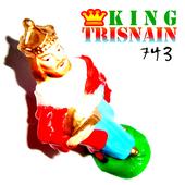 Trisnain profile picture