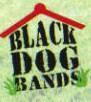 Black Dog Bands profile picture