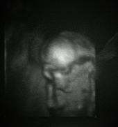 Baby T profile picture