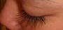 EYE [HEARTâ™¥] LASHES profile picture