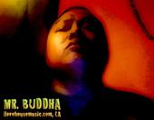 Mr. Buddha / ILHM.com profile picture