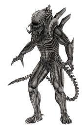 Predalien profile picture