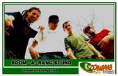 Boom-A-Rang Sound profile picture